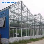 Commercial Glass Covered Venlo Style Greenhouse Anti Corrosion