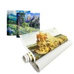 Waterproof And Anti-Cracking 360gsm Matte Inkjet Cotton Canvas For Pigment Dye