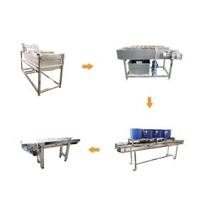 Wholesale Full Automatic Vegetable Processing Equipment Fruit Processing Line from china suppliers