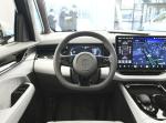 ZEEKR 009 ME Version 2022 Luxury Medium Large MPV 6 Seats 400kw Zeekr 009