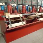 Concentrate Nickel Ore Processing Plant Metal Mineral Flotation Plant