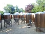 80mm PU 600L Beer Fermentation Tank Side Manhole 1.6 ㎡ Heat Area 280 KG Weight