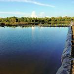 3mm Thick Grey Hdpe Sheet for Anti-uv Pond Liner Density 0.940g/cm3 Polyethylene