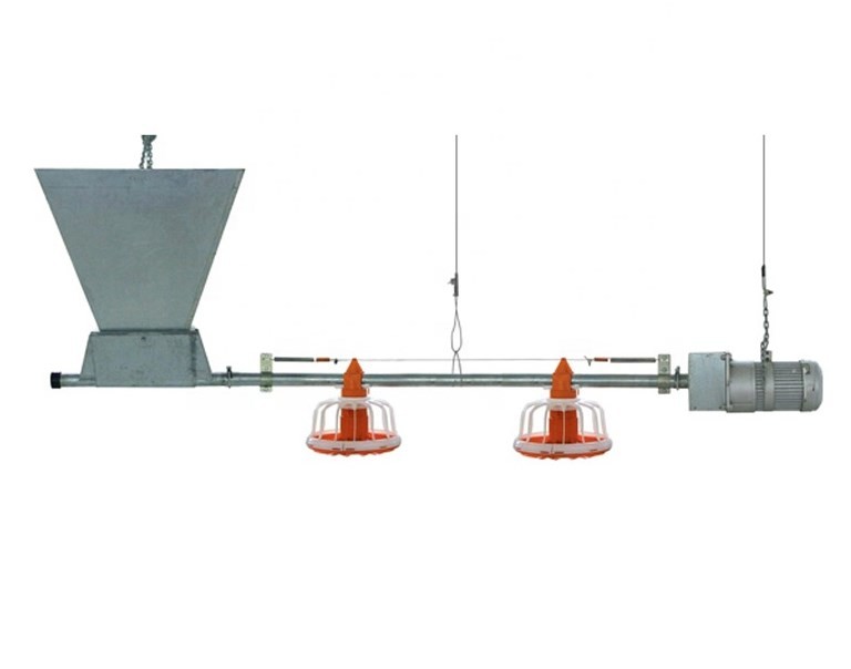 Poultry Farm Automatic Pan Feeding System Floor Raising For Chicken Broiler Breeder