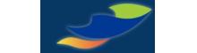 China Dongzhan Investment Holding Group Co., LTD. logo