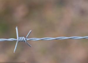 Wholesale Garden Anti-Theft Double Strand Traditional Twist Electro Barbed Wire Coils from china suppliers