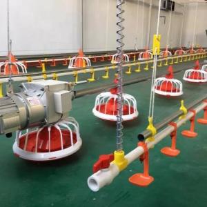 Wholesale OEM Poultry Farm Equipment 30KG Automatic Poultry Feeder For Broiler from china suppliers