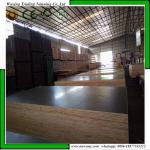 Construction WBP 1220*2440mm Film Faced Shuttering Plywood