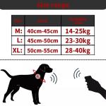 XL Pet Collars Leashes Customizable Adjustable Safety Buckle Pet Accessory