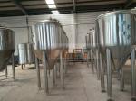 20 Bbl Fermenter Stainless Steel Tank Industrial Beer Brewing Equipment