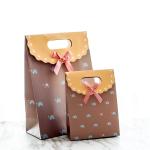 Boutique Craft Coloured Paper Gift Bags With Self Adhesive Ribbon