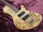 BEST 4 strings butterfly bass guitar Best accessories BEST workmanship