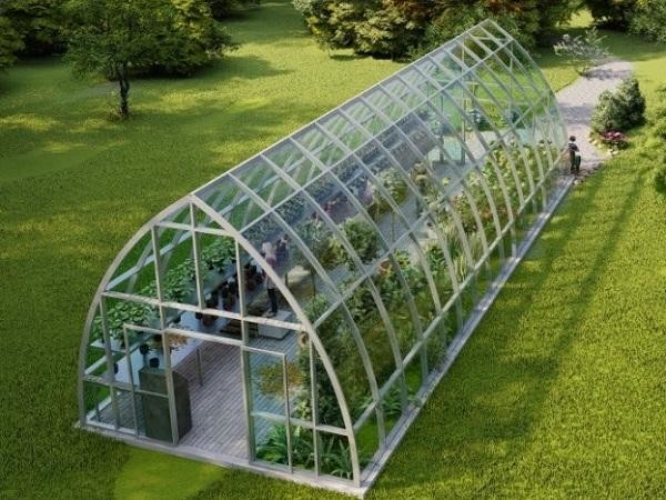Tempered Pattern 3.2mm 4mm Greenhouse Roof Cover Glass for Vagetable Greenhouse
