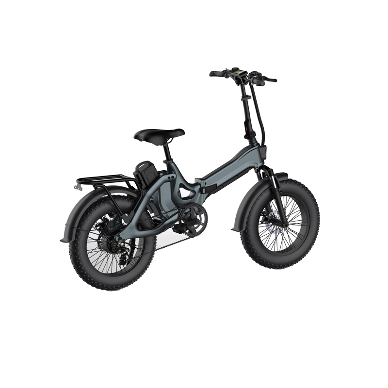 DOMANCA 2024 LCD Display 48V 13Ah Electric Bike with 20 inch Kenda Snow Fat Tire