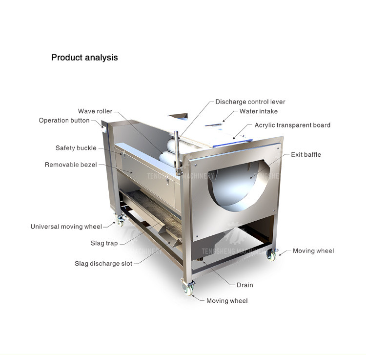 Root Veg 1.5KW Commercial Potato Washer , Kiwifruit Lotus Root Potato Peeler Machine