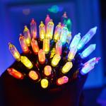 Christmas Lights Indoor Outdoor Mini Halloween String Light 120V Certified Green