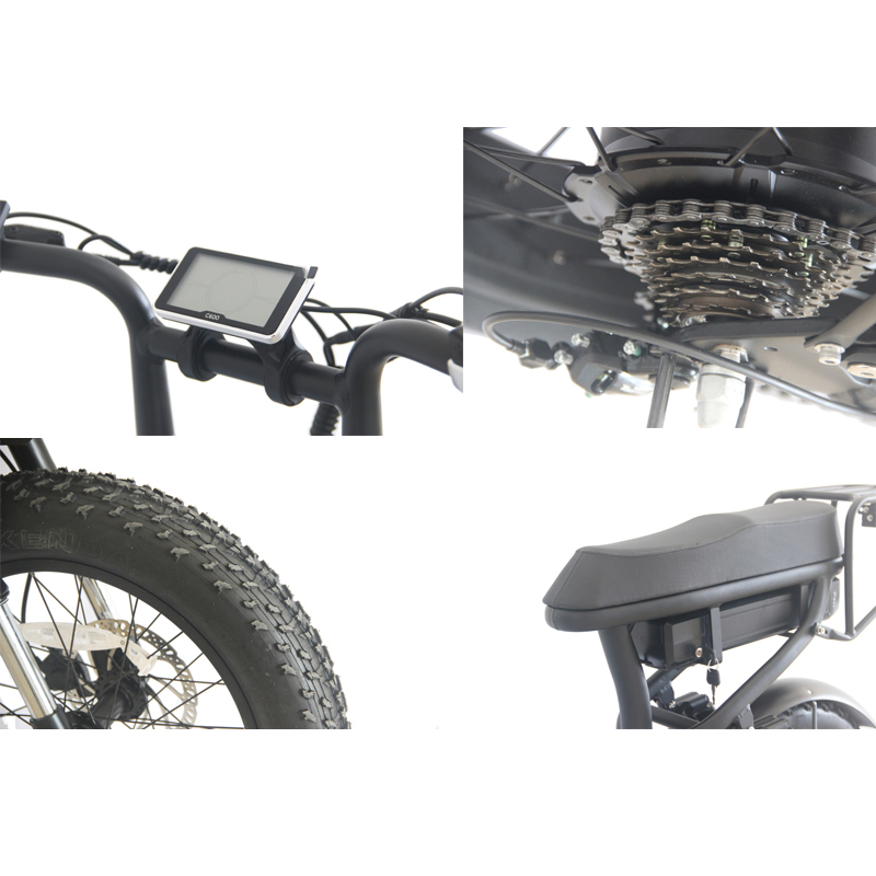48V 13Ah Electric Dirt Bike Adult 750W 1000W High Speed Bicycle with 20inch Fat Tire