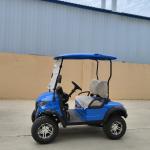 4KW 12 Inch Off-Road Tires 2 Seater Electric Golf Cart Lithium Battery With