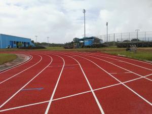 Wholesale Durable Red Seamless Polyurethane Track Surface / Synthetic Running Track from china suppliers