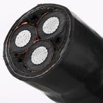 DSTA SWA AWA XLPE Insulated Cable 1 To 5 Cores Copper Aluminum Conductor