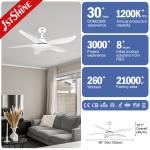 48in 230V 5 ABS Blades Decorative Ceiling Fans With Lights