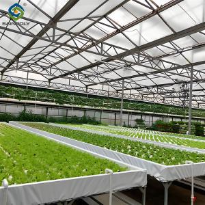 Wholesale Agricultural Multispan Greenhouse Complete Hydroponic Nft Greenhouse from china suppliers