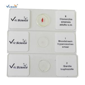 Wholesale Specimen Medical 50pcs Set Parasite Microscope Slides 1.2mm from china suppliers