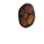Solid Yjv Yjlv Conductor Xlpe PVC Power Cable 0.6/1kv for Construction
