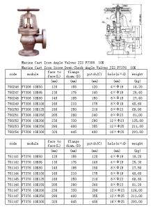 Wholesale JIS F7310 Marine cast iron Angle valve 16K China from china suppliers