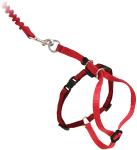 Adjustable Nylon Cat Harness Collar With Bungee Leash