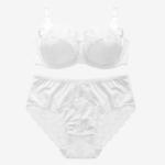BEIZHI Lace Plus Size Underwear And Bras D Cup Size Sexy Underwire Ladies Inner