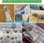 Plastic Seed Storage Box, Seeds Storage Organizer Container, Flower Seeds