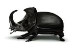 maximo riera creates limited edition beetle chair