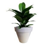 Large Resin Flower Vase Fiberglass Outdoor Pots Customizable Logo Size