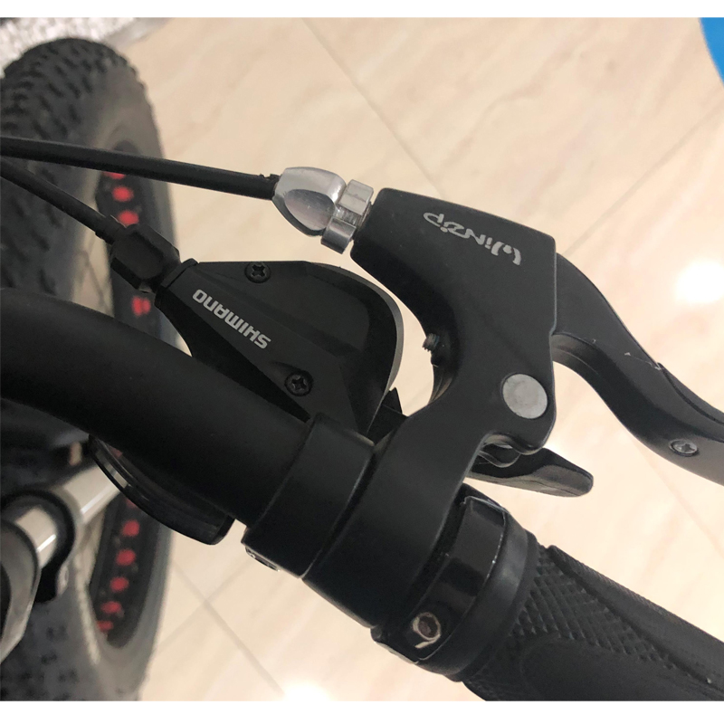Disc Brake Hydraulic Electric Mountain Bicycle E MTB Carbon Fiber Off-Road Fat Tire