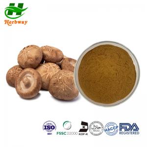 China Shiitake Mushroom Powder CAS 37339-90-5 Lentinus Edodes Mushroom Extract Polysaccharide on sale