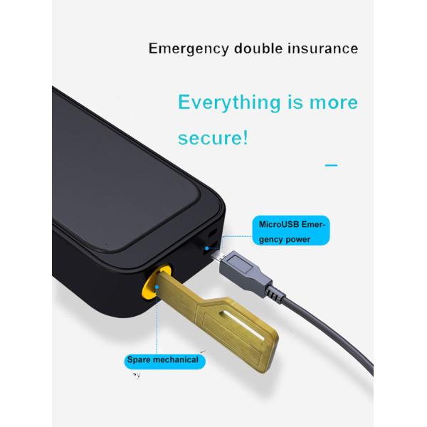 Red Bronze Wifi Bluetooth Door Lock Sturdy Bluetooth Keypad Lock