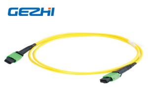 Wholesale Single Mode 12 Fiber Patch Cord Accessories , MPO Patch Cord Truck Cable Jumper from china suppliers