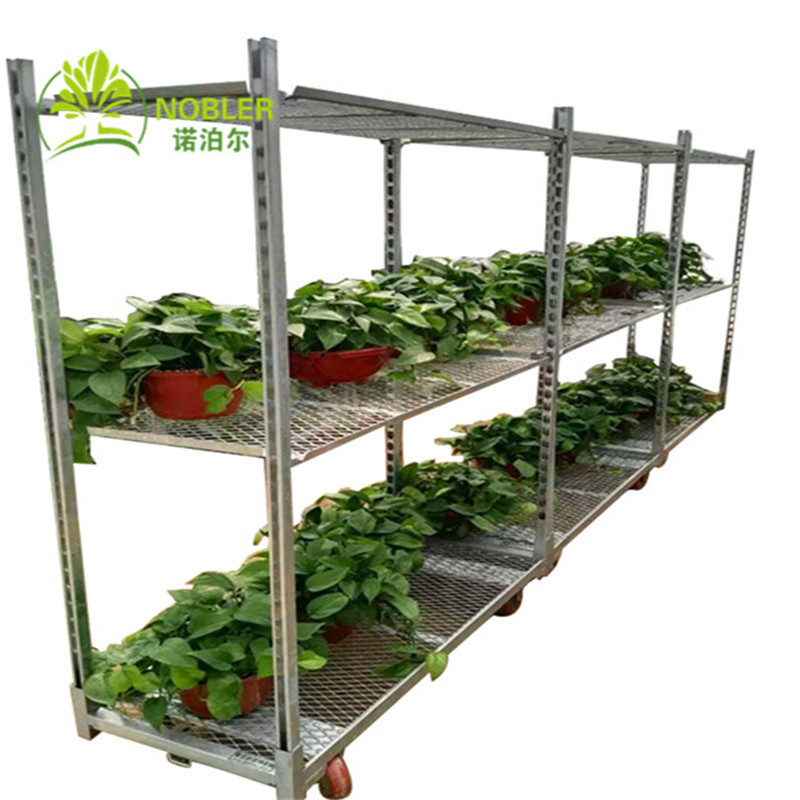 Source Dutch Flower Trolley Seedling Car Germination Car Hot Dip Galvanizing