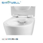 Hot Selling SWA625 Luxury Sanitary Ware Product Washdown Rimless Flushing Wall