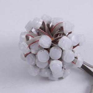 China Christmas Color Monochrome Outdoor Decoration Lamp with 120 Degrees Beam Angle and IP67 Waterproof on sale