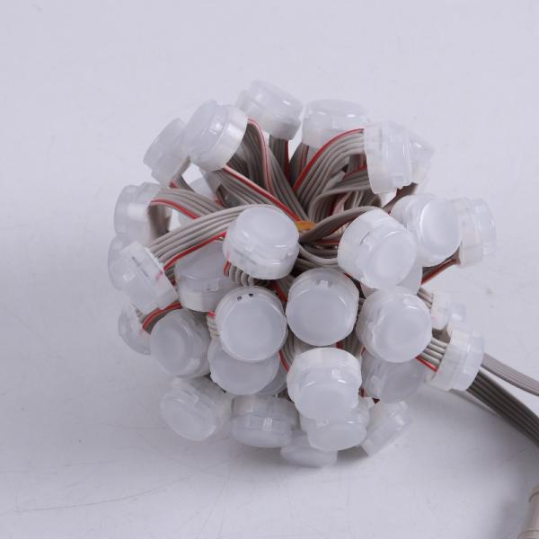 Christmas Color Monochrome Outdoor Decoration Lamp with 120 Degrees Beam Angle