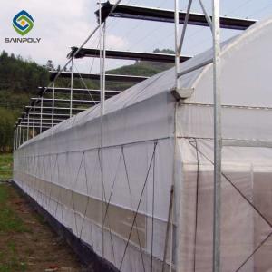 Wholesale Agriculture Planting Large Plastic Film Multi Span Greenhouse 5.3m from china suppliers