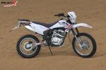 125cc 4 Stroke Enduro Sport Motorcycle Rear Suspension 150cc Double Disc Brake