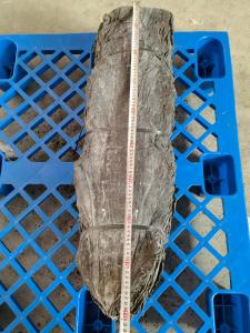 Wholesale Japanese Seaweed Phaeophyceae Nutrient Rich Sea Vegetable Dry Kelp Shoots Sea Kombu Fronds from china suppliers