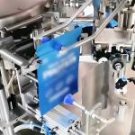 3KW Flexible Rotary Bag Feeding Packing Machine With 65-400mm Bag Length