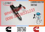 3087733 Diesel Fuel Injector N14 Common Rail Injector 3087560 3411752 3411765