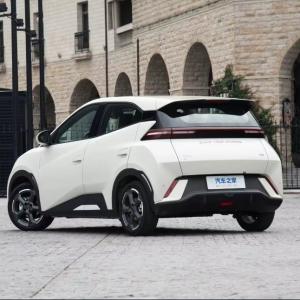Wholesale 2023 Byd Seagull Electric Car with 30.08 Kwh Battery Capacity and Pink Exterior Color from china suppliers
