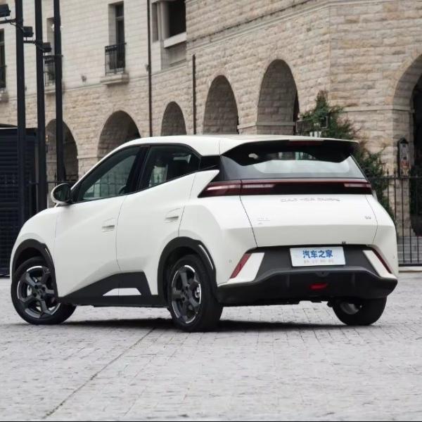 2023 Byd Seagull Electric Car with 30.08 Kwh Battery Capacity and Pink Exterior