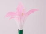 LED Fiber Optic Lily Lights Wedding Decorative Lights Park Scenic Spots